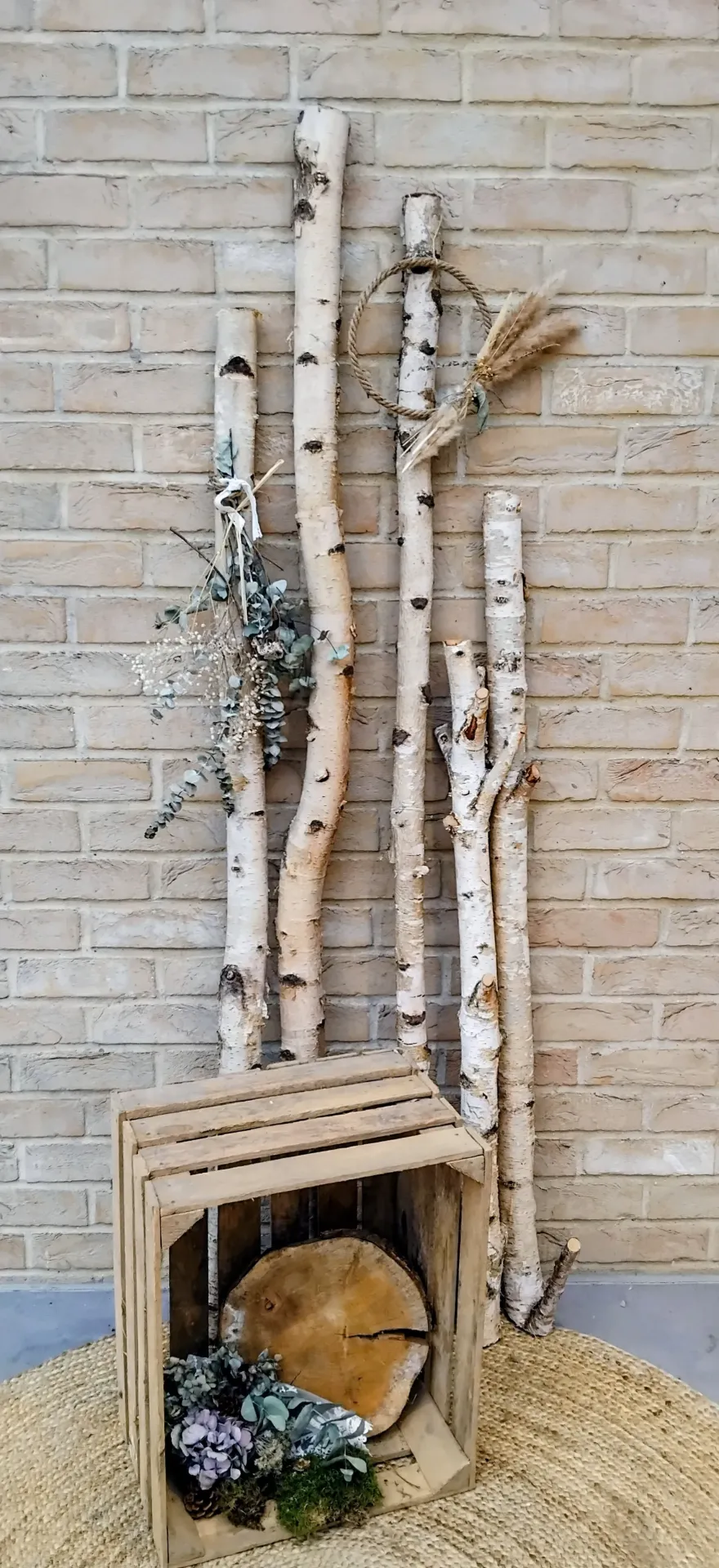 Birkenstämme auf Anfrage