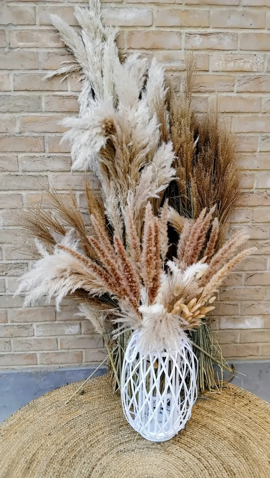 Graminées décoratives sur demande